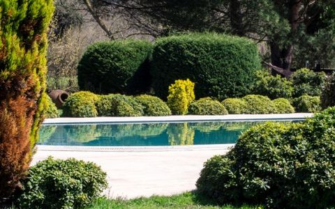 Piscina con el agua cristalina gracias al mantenimiento periódico